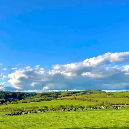 3-bedroom With Plenty Space