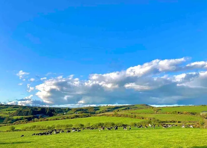 3-bedroom With Plenty Space